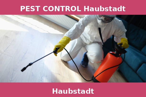 PEST CONTROL Haubstadt